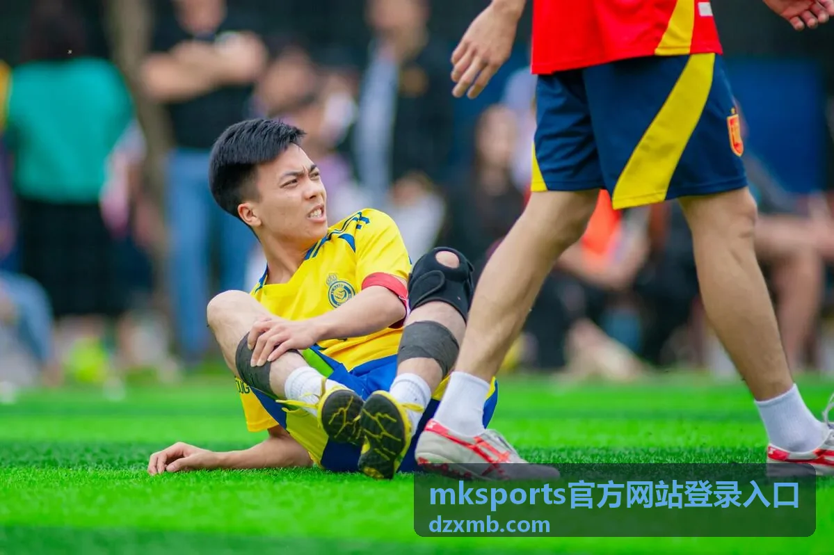 mksports官方网站登录入口访问顺序示意封面图