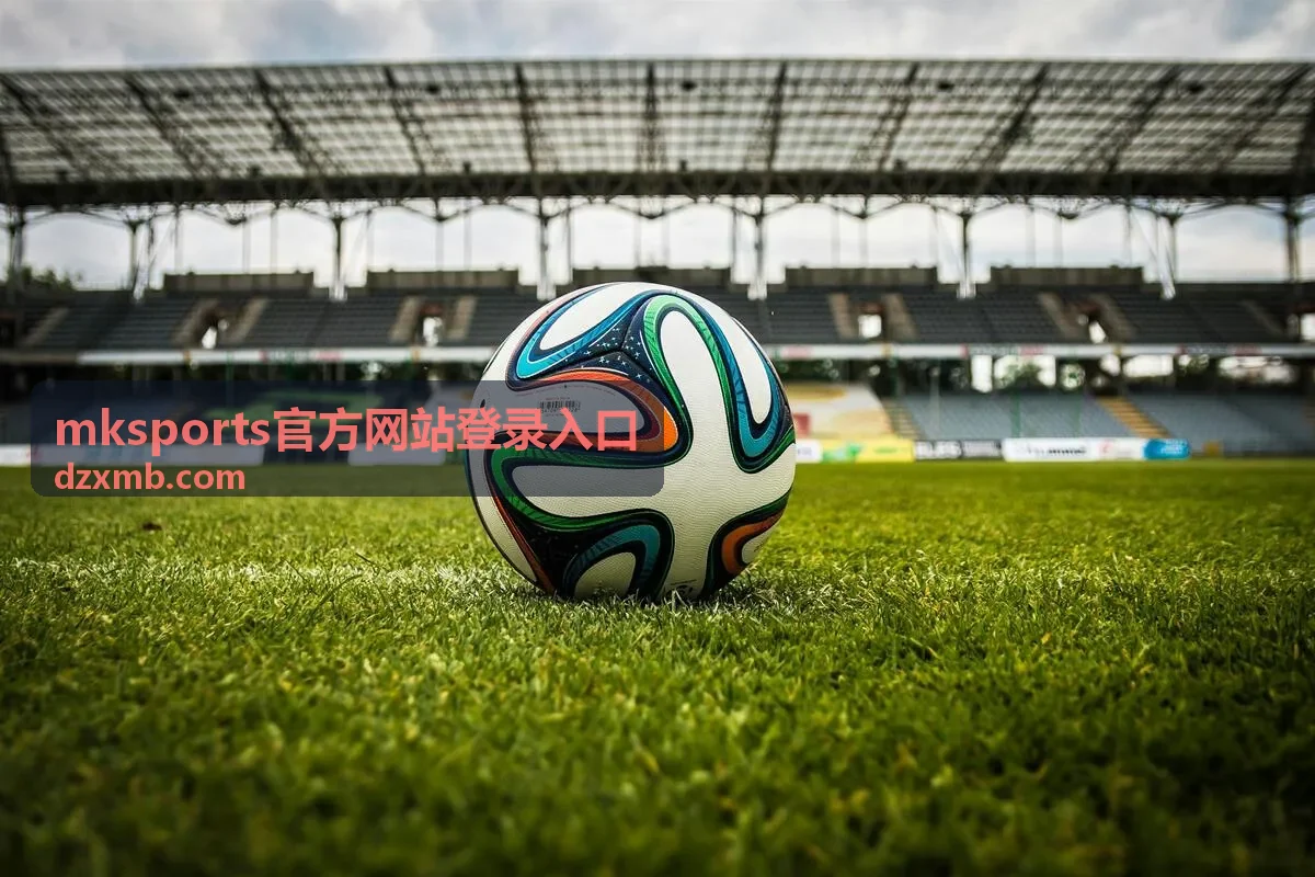 mksports官方网站登录入口 多设备访问说明配图